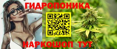 2c-b Обь