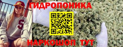 2c-b Обь