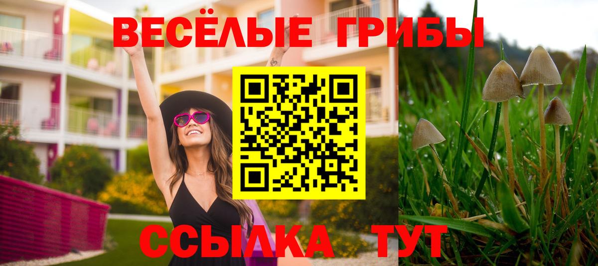Галлюциногенные грибы GOLDEN TEACHER Усинск