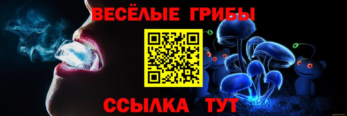 Псилоцибиновые грибы MAGIC MUSHROOMS  Вход с VPN  Усинск 
